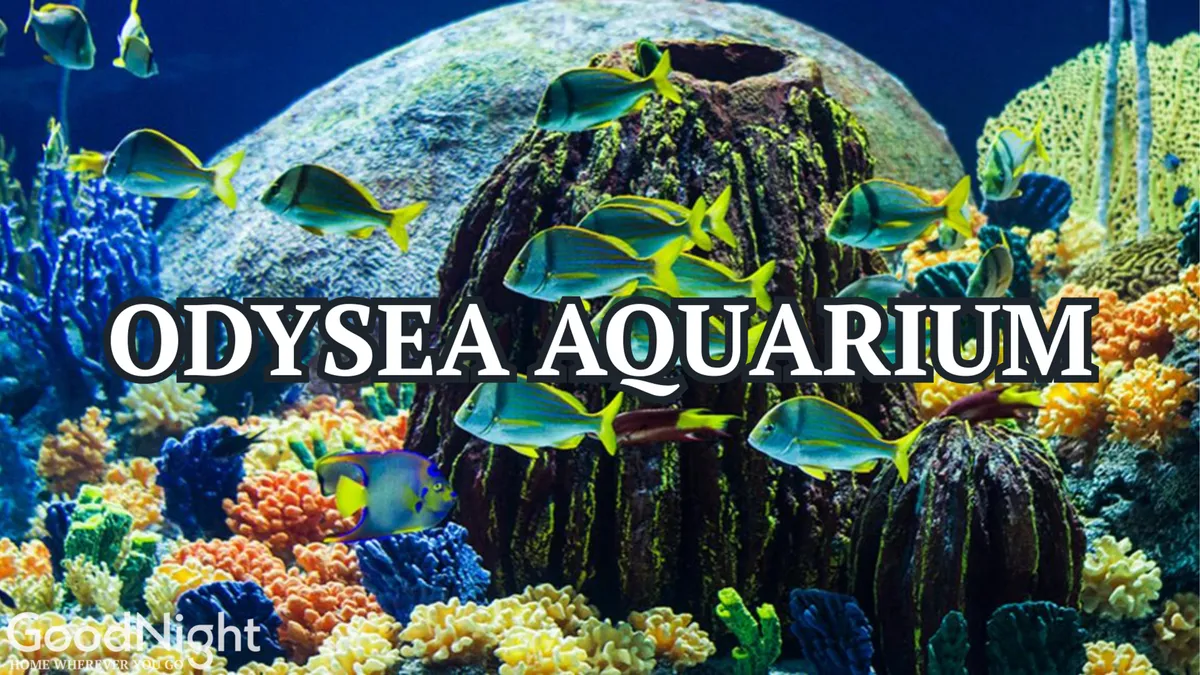 An immersive view inside an aquarium with vibrant coral reefs, schools of fish, and underwater structures, capturing the wonder of marine life. The image conveys hands-on, educational fun for families and children.