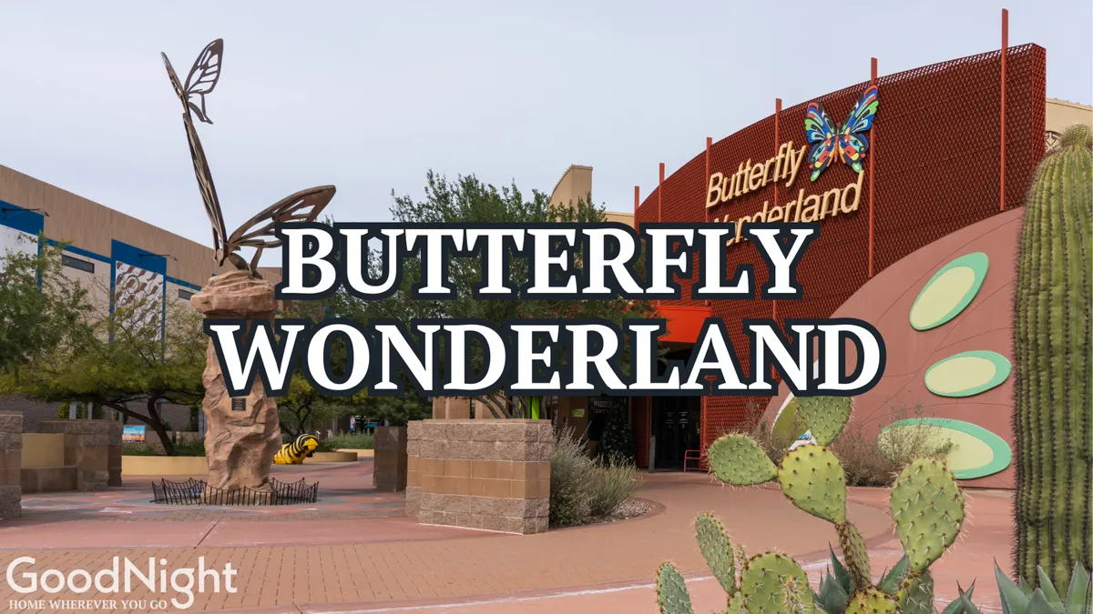 The exterior of Butterfly Wonderland, featuring a large butterfly sculpture and the entrance sign surrounded by cacti and colorful landscaping. The vibrant outdoor space hints at the interactive and family-friendly experiences inside.